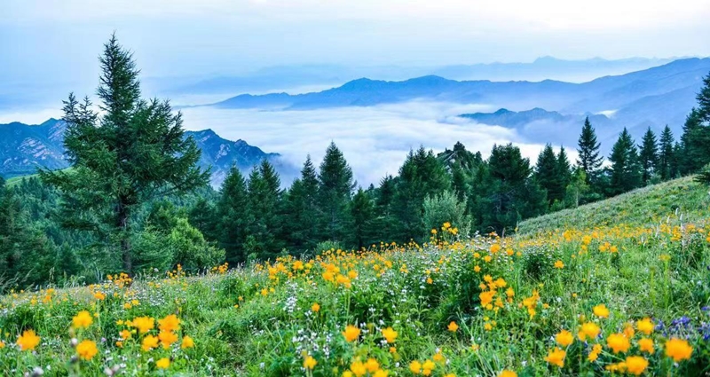 駝梁風(fēng)景區美景