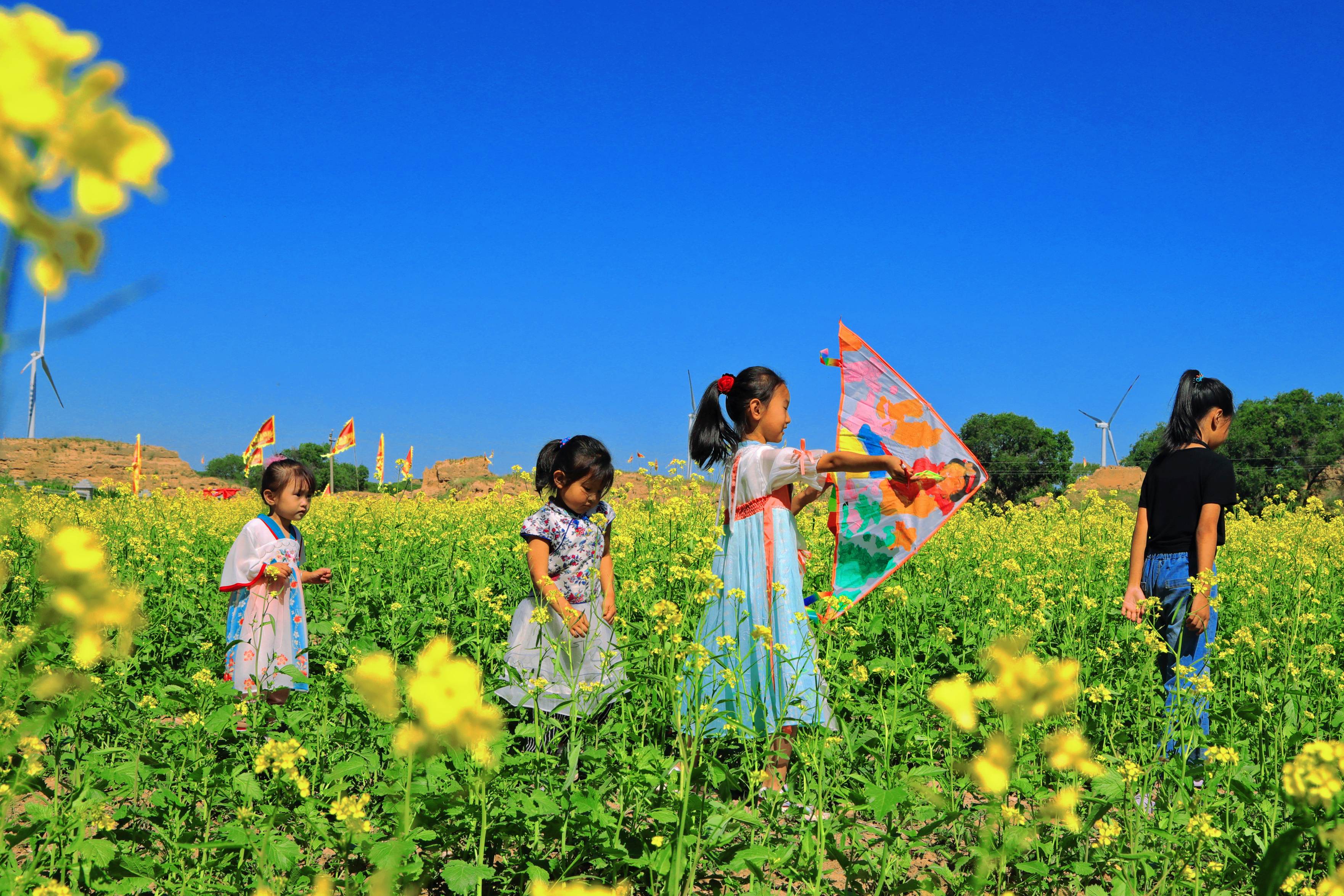  萬(wàn)畝油菜花