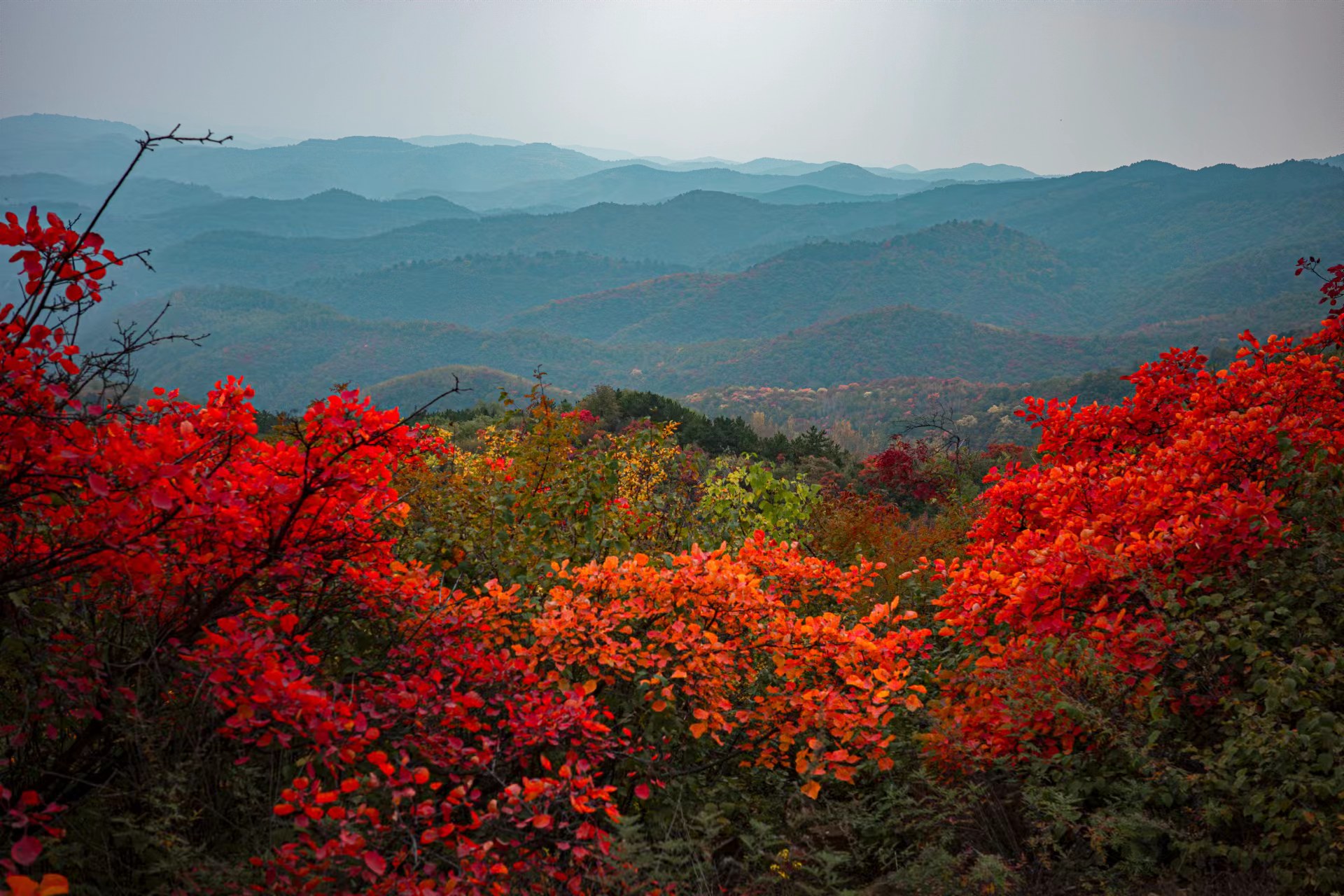 山水大寧